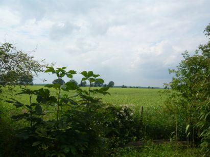 Anker Immobilien