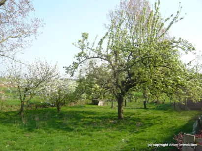 Anker Immobilien